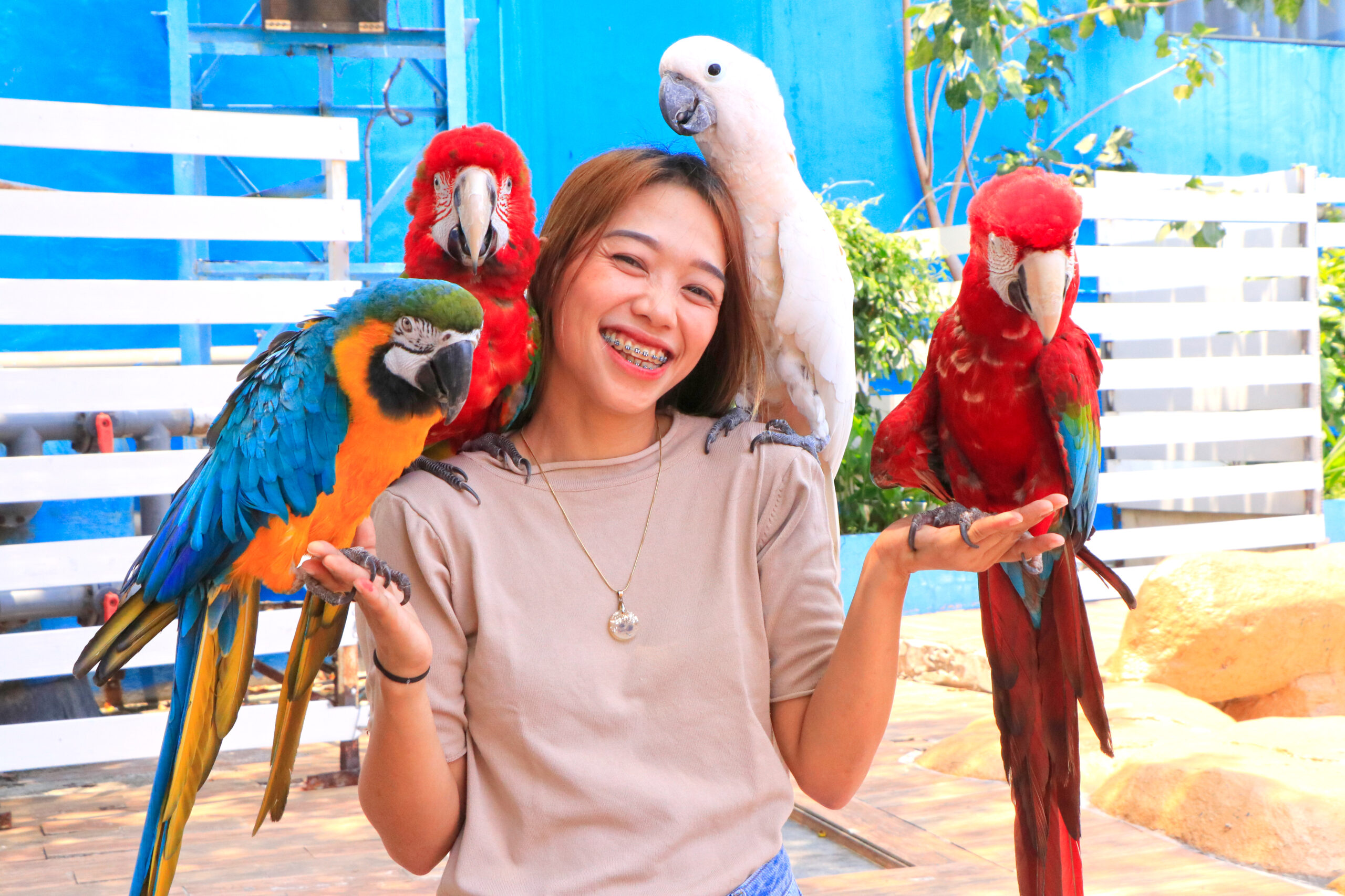 Encounters | Manila Ocean Park